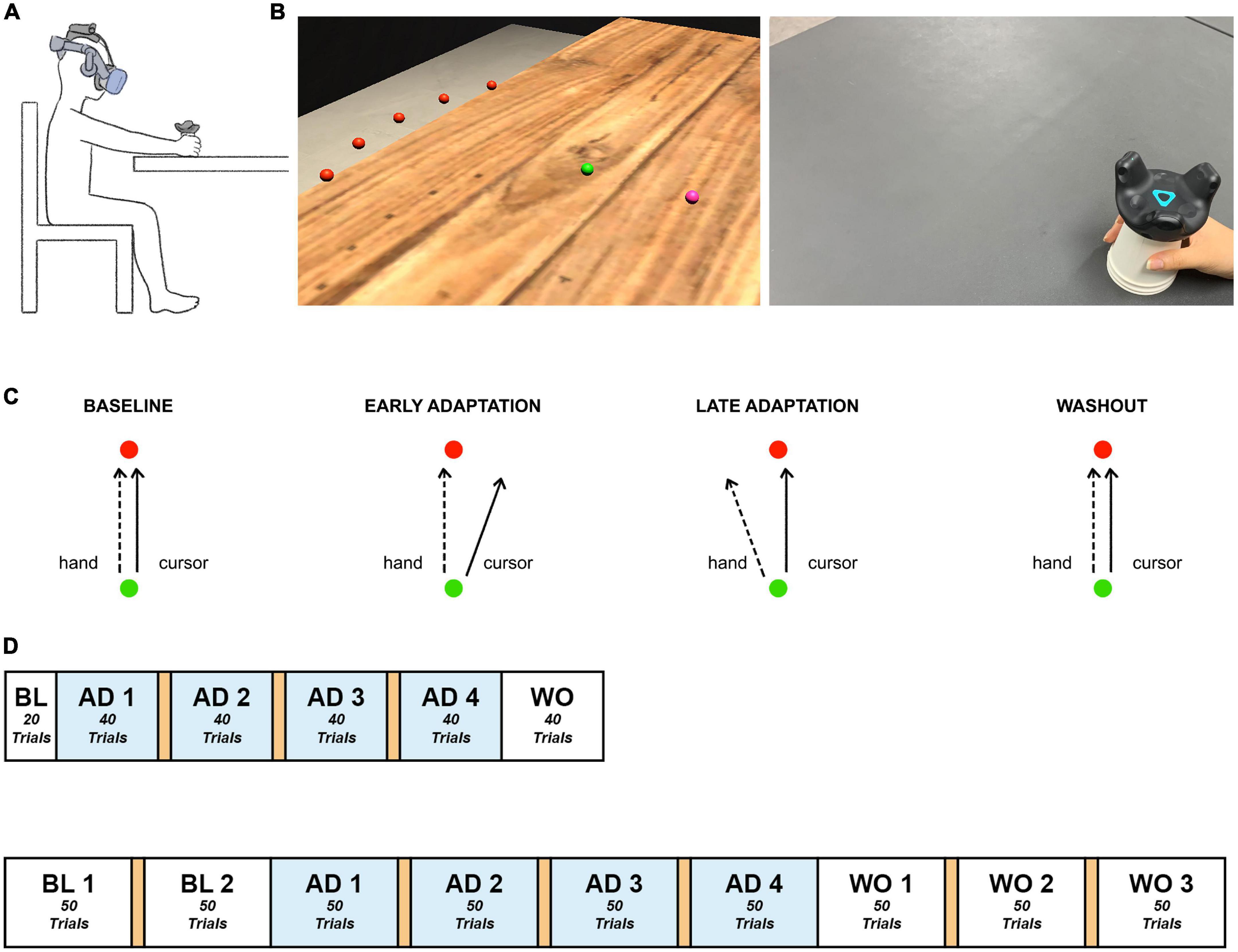 A curtailed task for quantitative evaluation of visuomotor adaptation in the head-mounted display virtual reality environment
